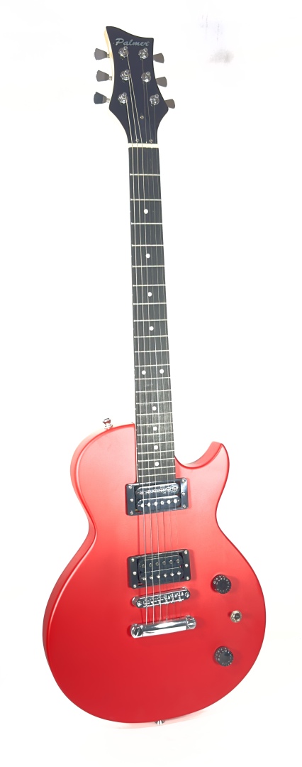 Palmer PE-LPS Electric Guitar Standard Series